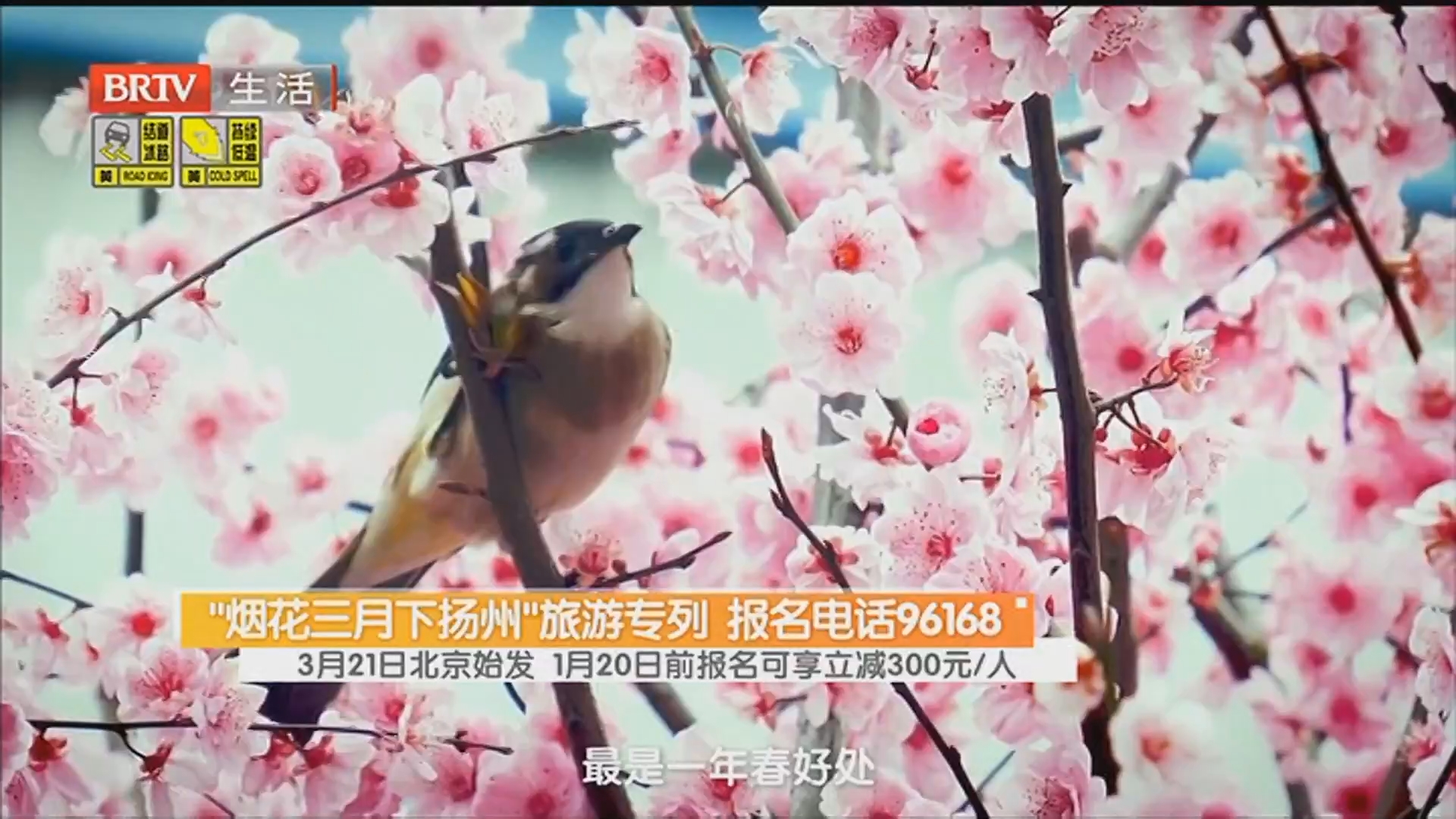 “烟花三月下扬州”旅游专列 报名电话96168 3月21日北京始发 1月20日前报名可享立减300元/人