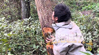 医学生参加荒野求生,十几天后已经开始出现“返祖症状” 医学生参加荒野求生,十几天后已经开始出现“返祖症状”