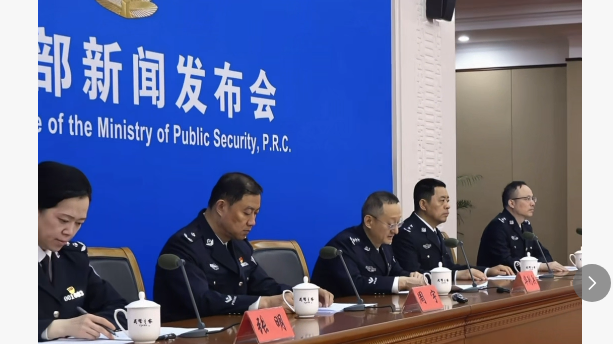 公安机关依法严打经济犯罪活动 有力维护市场秩序 公安机关依法严打经济犯罪活动 有力维护市场秩序