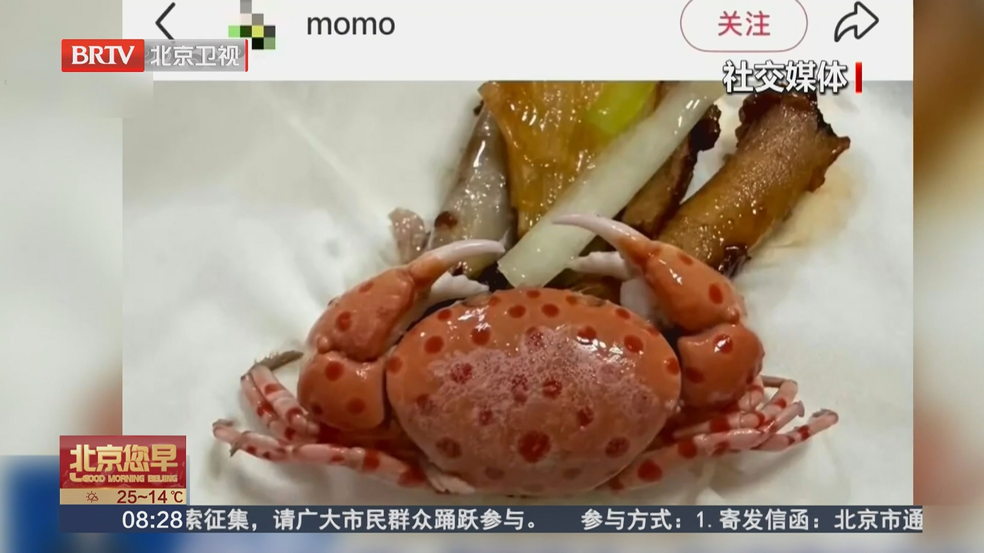 秋日尝“鲜” 警惕餐桌上的“剧毒伪装者” 秋日尝“鲜” 警惕餐桌上的“剧毒伪装者”