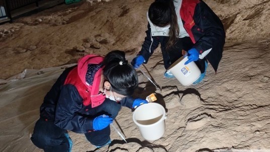 穿越亿万年,温柔守护一枚蛋 穿越亿万年,温柔守护一枚蛋