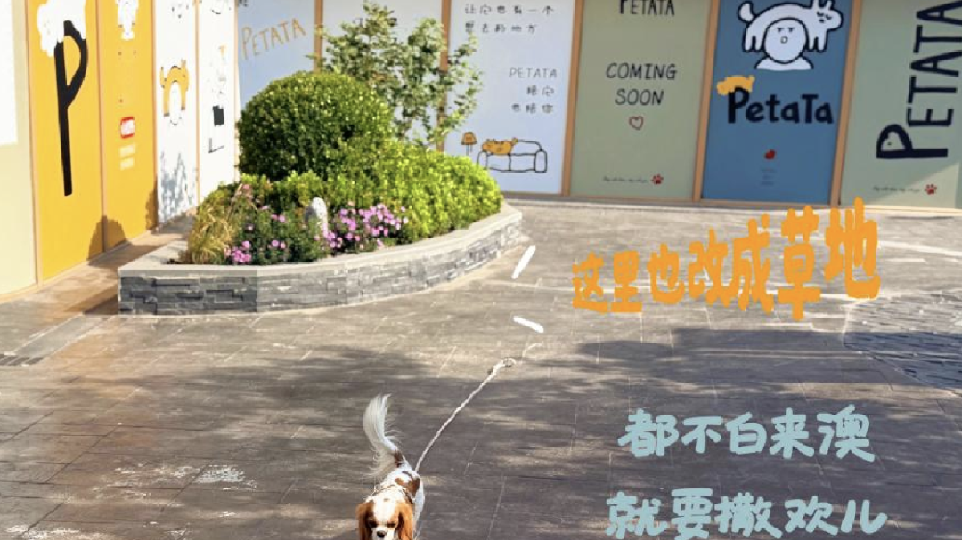 数十亿元！“热雪奇迹”等新项目落地城市副中心