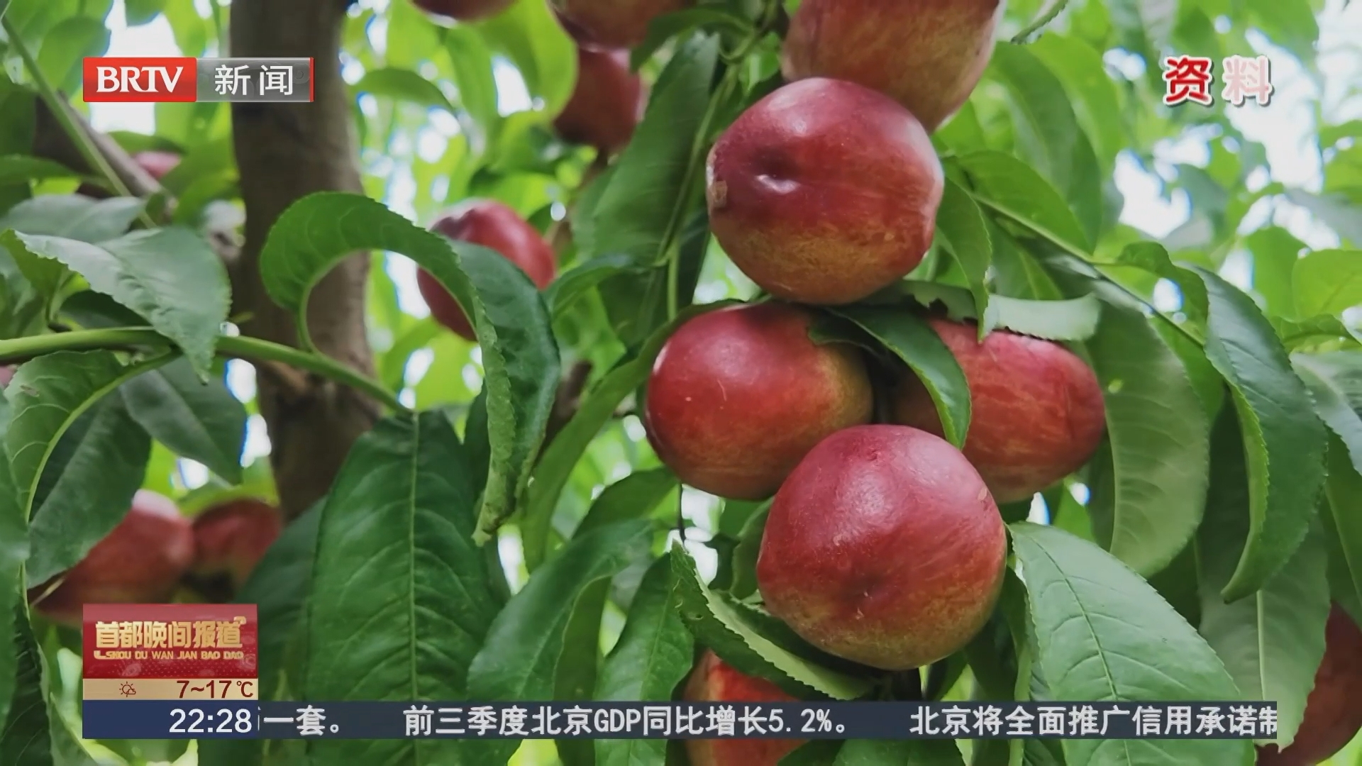 7项乡村振兴合作伙伴计划发布 平谷推出全链条农业金融解决方案