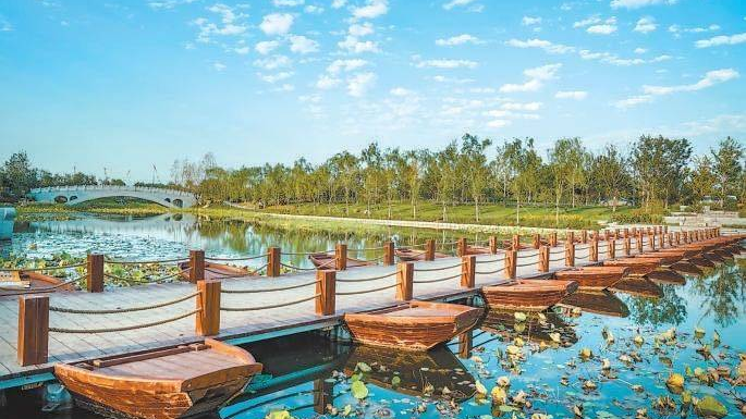 北副中心T116路公交线火出圈，串联五大热门打卡地