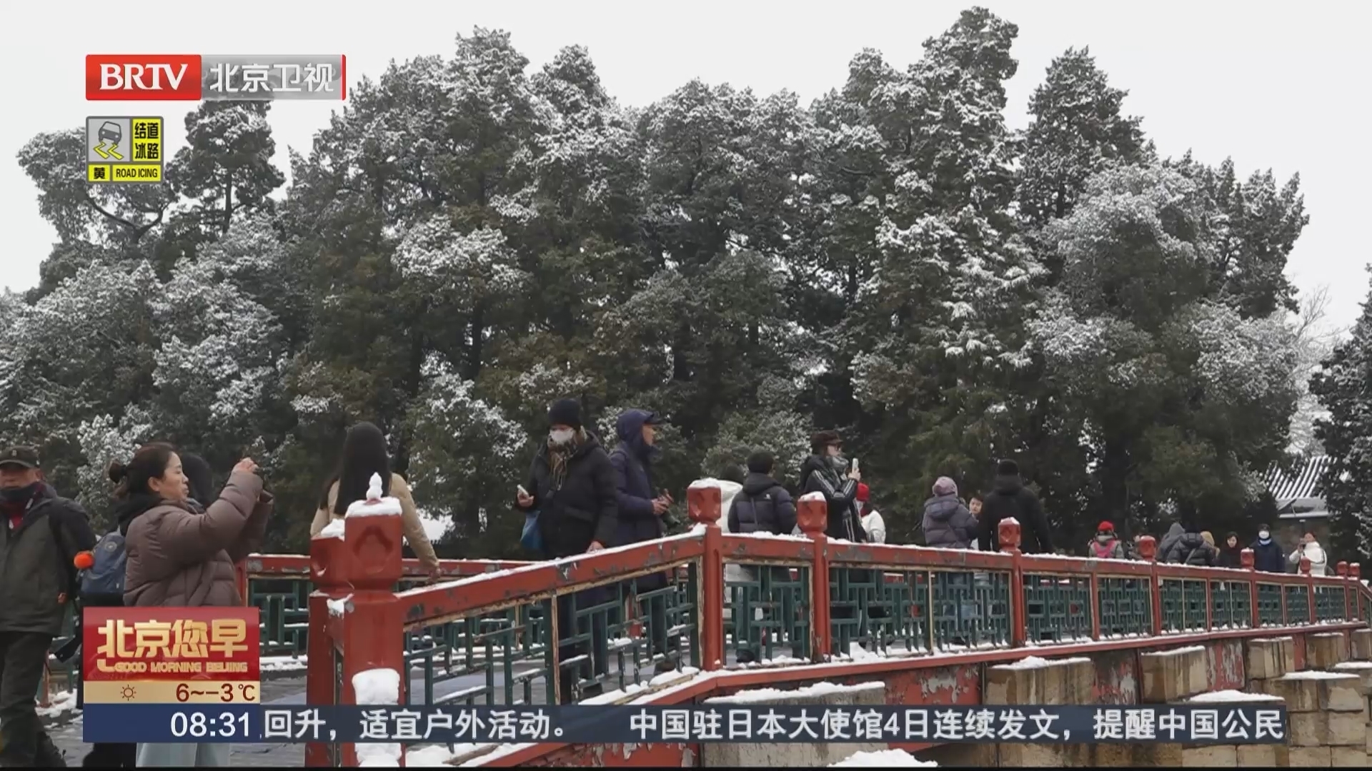 惊蛰飘雪润物无声 草木发芽春花吐蕊