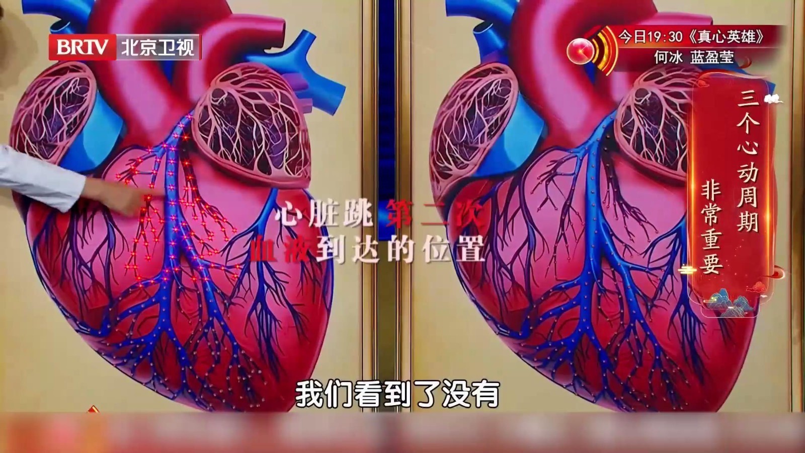 什么是心脏慢血流？它竟会“饿死”心肌细胞？