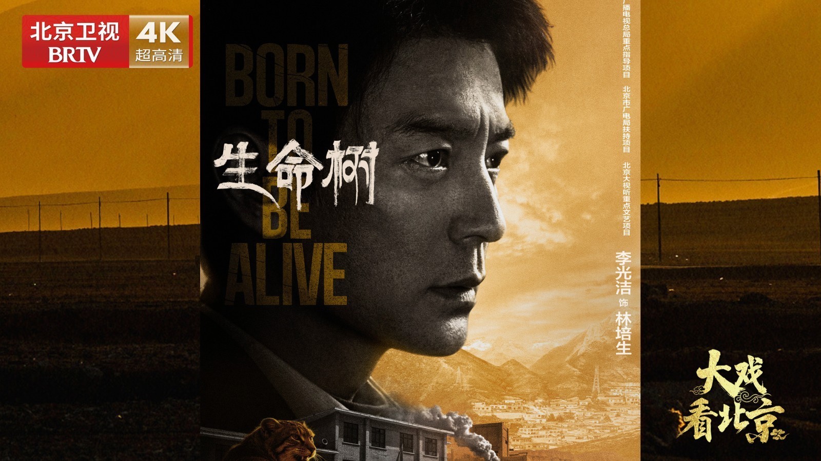 电视剧《生命树》李光洁幕后专访 电视剧《生命树》李光洁幕后专访