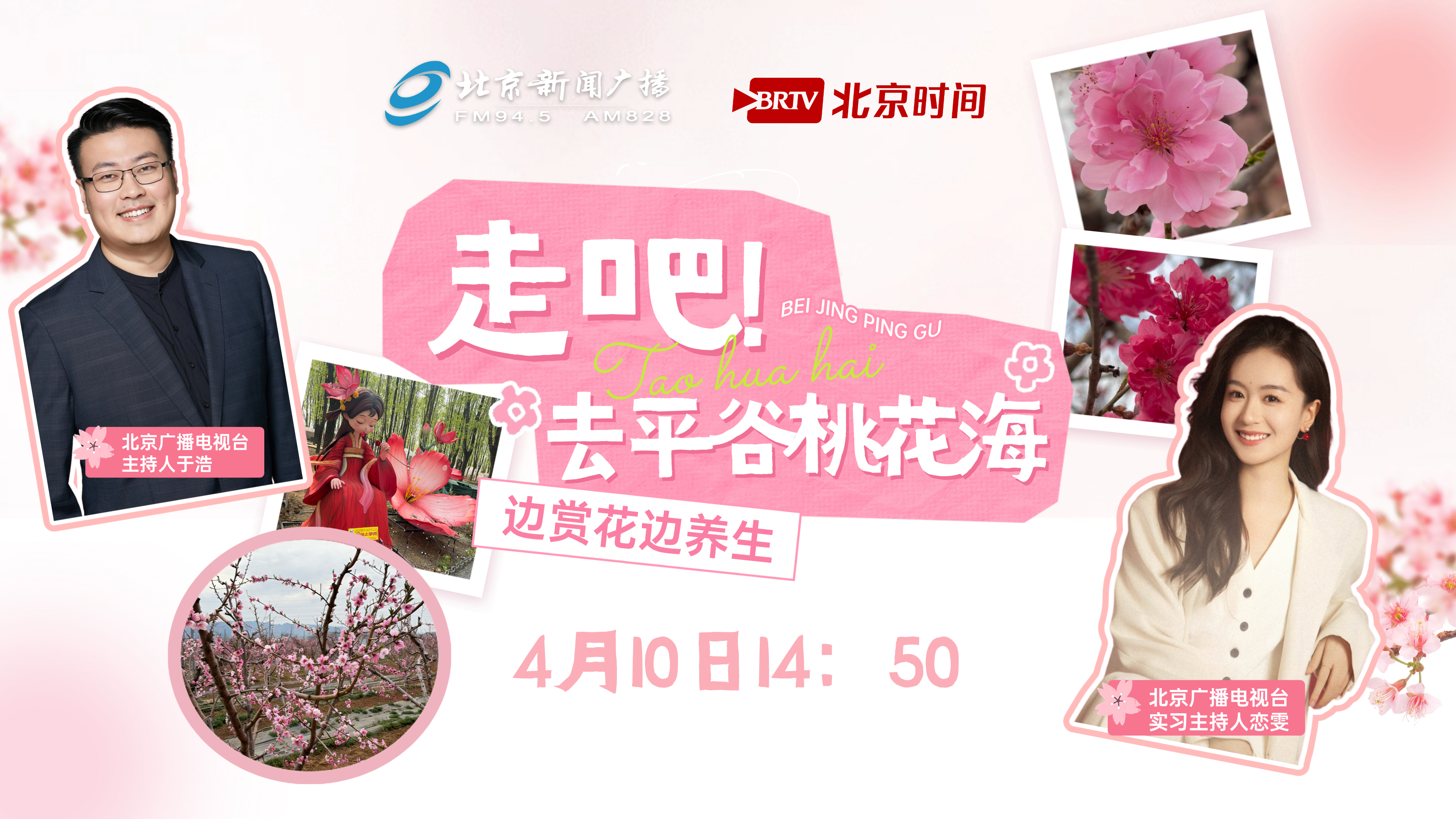 走，去平谷桃花海！边赏花边养生