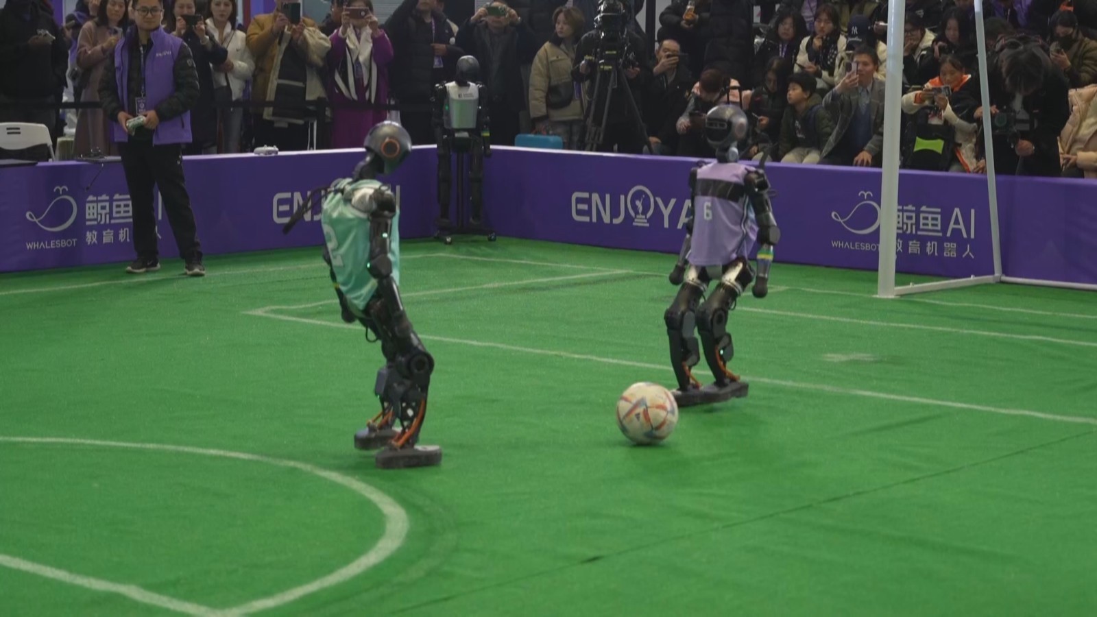 速看!“机器人总动员”大比拼来了 速看!“机器人总动员”大比拼来了