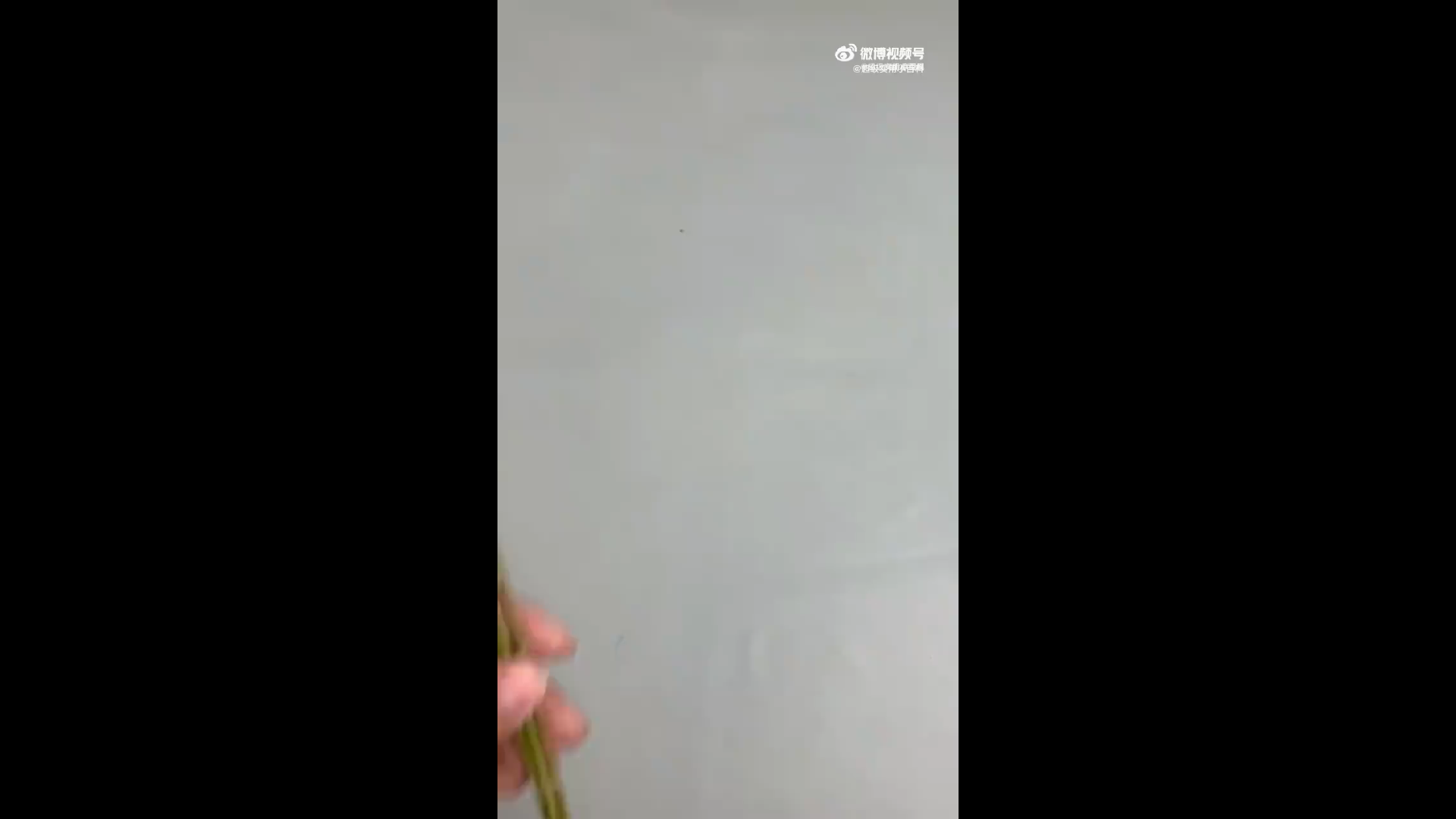 柳条编织小篮子教程来喽！赶快给孩子编织一个吧