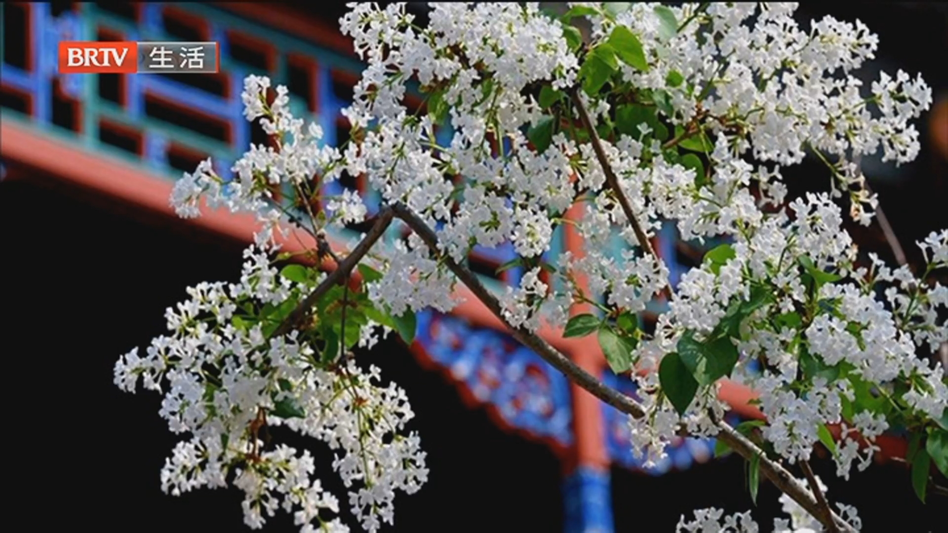 《生活这一刻》20260413