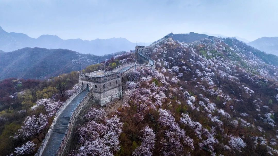 京郊美食系列-新利酒家 京郊美食系列-新利酒家