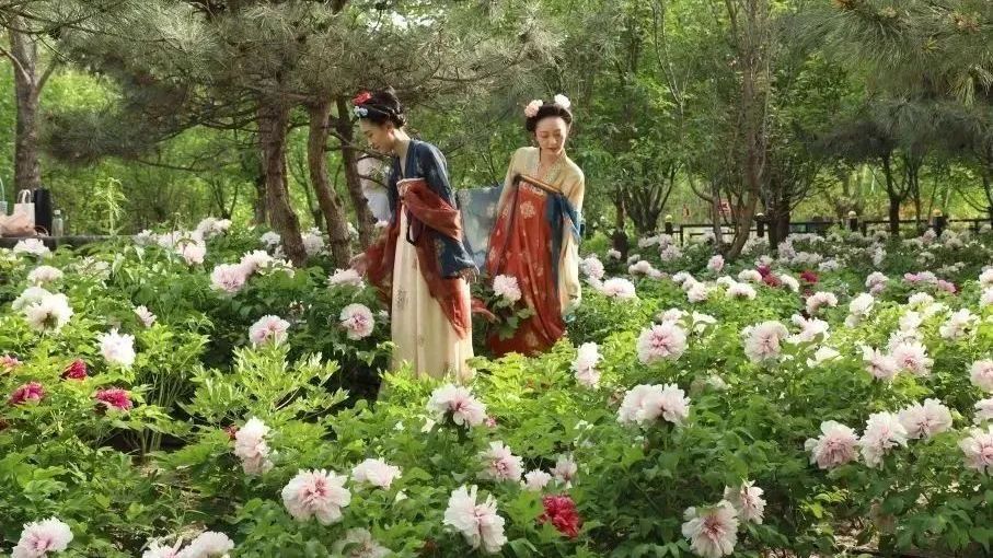 文明游园丨五一去哪儿玩——北京这些郊野公园人少景美 文明游园丨五一去哪儿玩——北京这些郊野公园人少景美