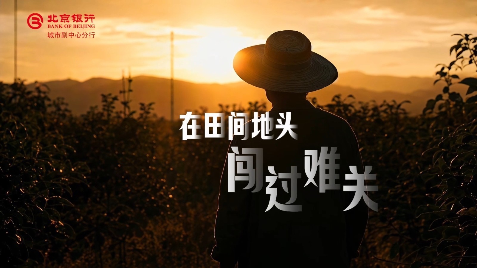 助力千亩果园的科创突围，北京银行做实干追光者的同行人
