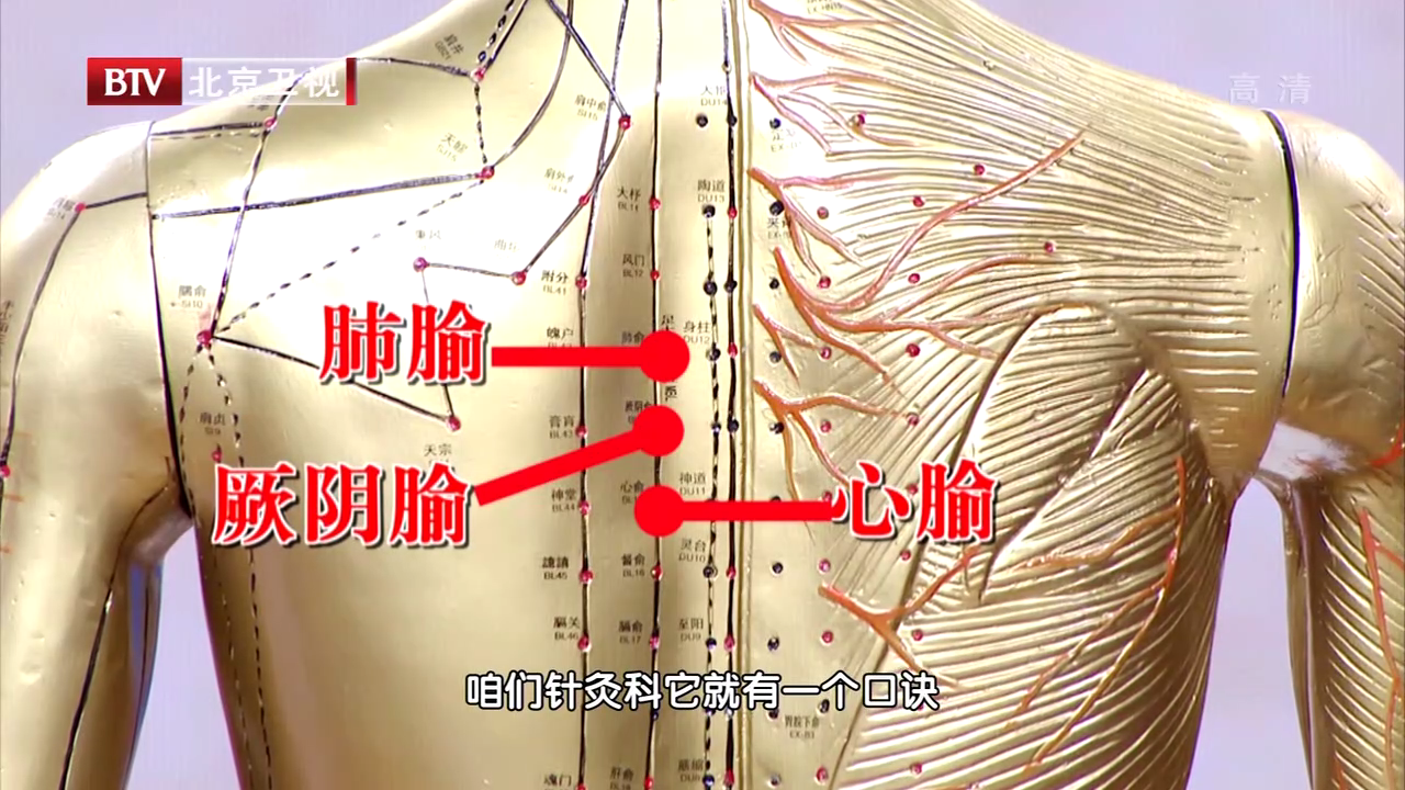 内关穴配合这3个胸气街腧穴，轻轻叩击，防治心肺疾病~