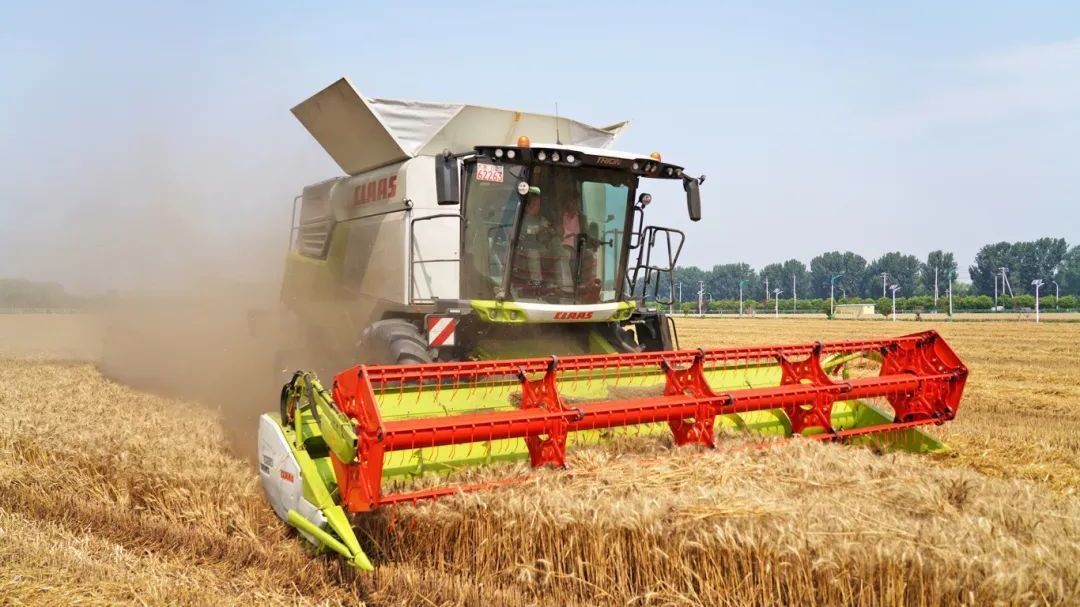 北京房山:熟了!麦田奏响“丰收曲” 北京房山:熟了!麦田奏响“丰收曲”