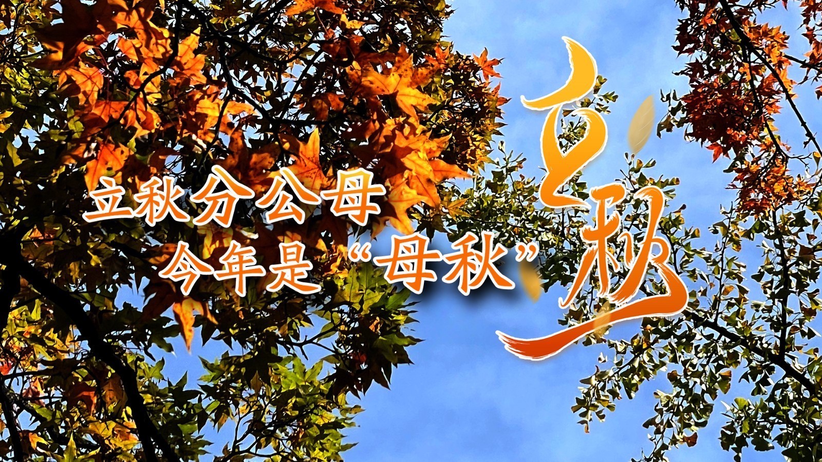 立秋还有“公母之分”？专家：今年是“母秋”