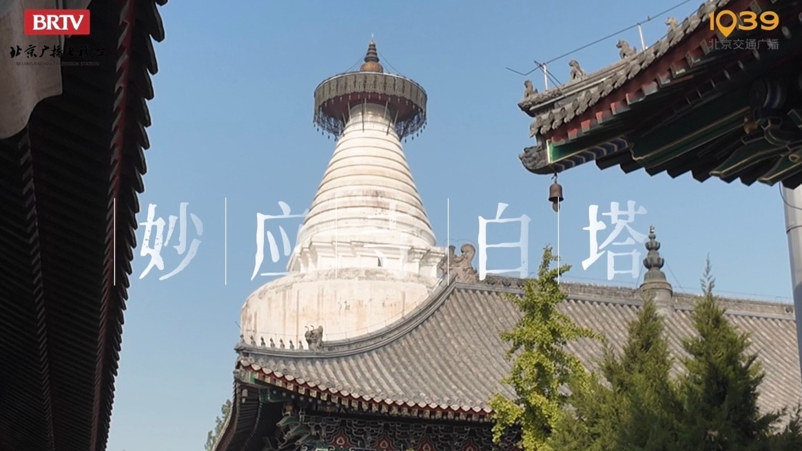 慢享北京|秋日寻迹白塔寺，一街看尽七百年