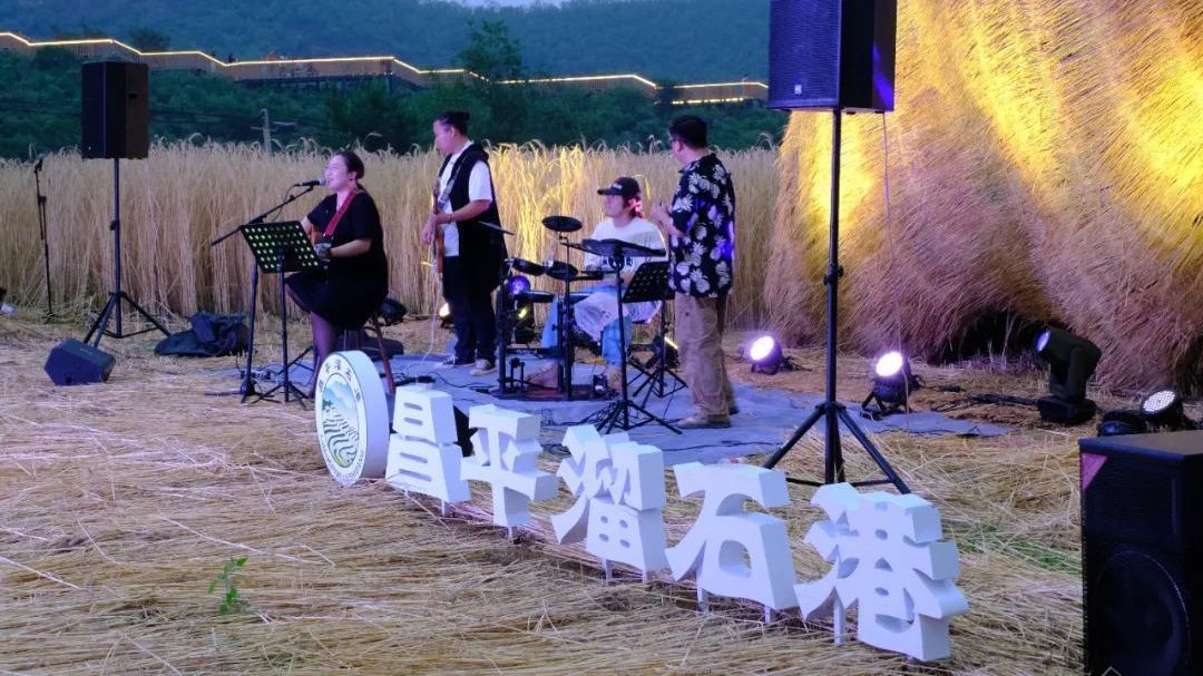 自然美育，这场在麦田里举办的音乐会独具一格