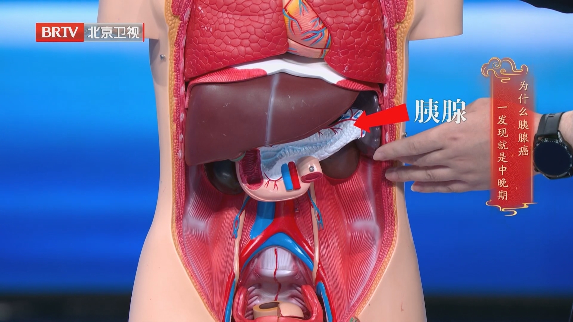 《养生堂》20250824伪装成胃病的脏器损伤