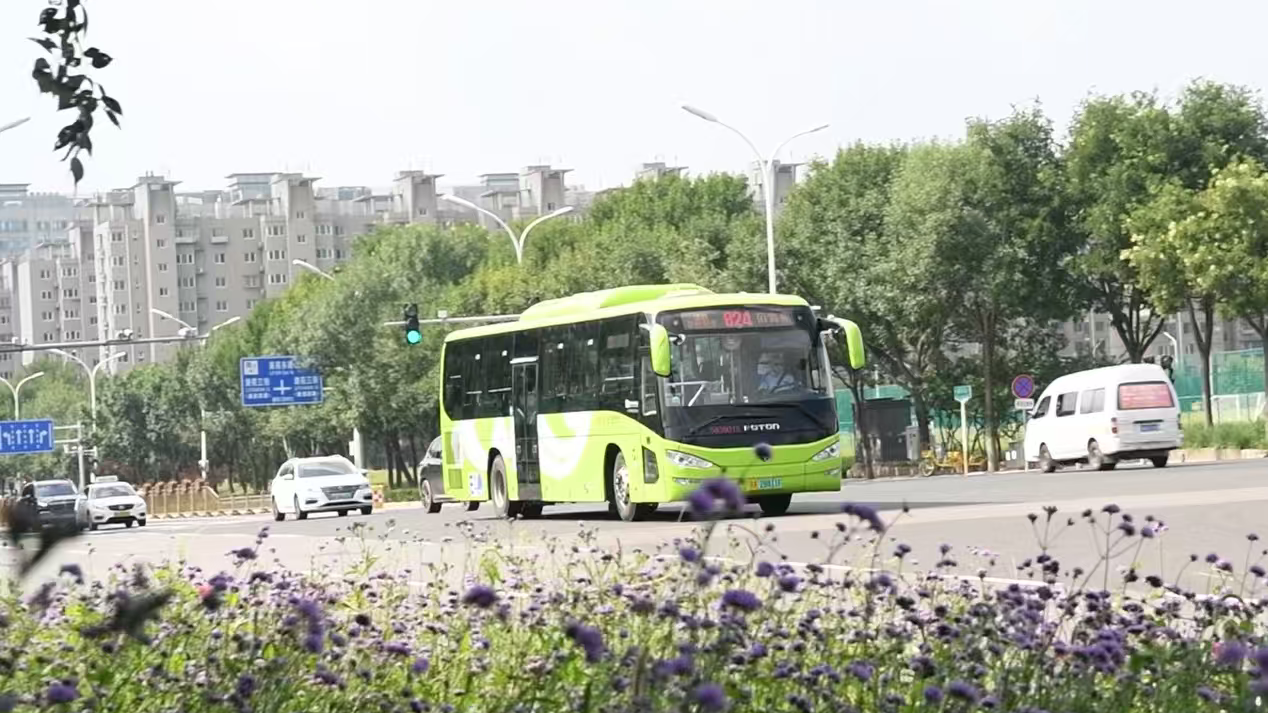乘公交奔赴花海!城市副中心宝藏公交线承包你的整个暑期快乐时光 乘公交奔赴花海!城市副中心宝藏公交线承包你的整个暑期快乐时光