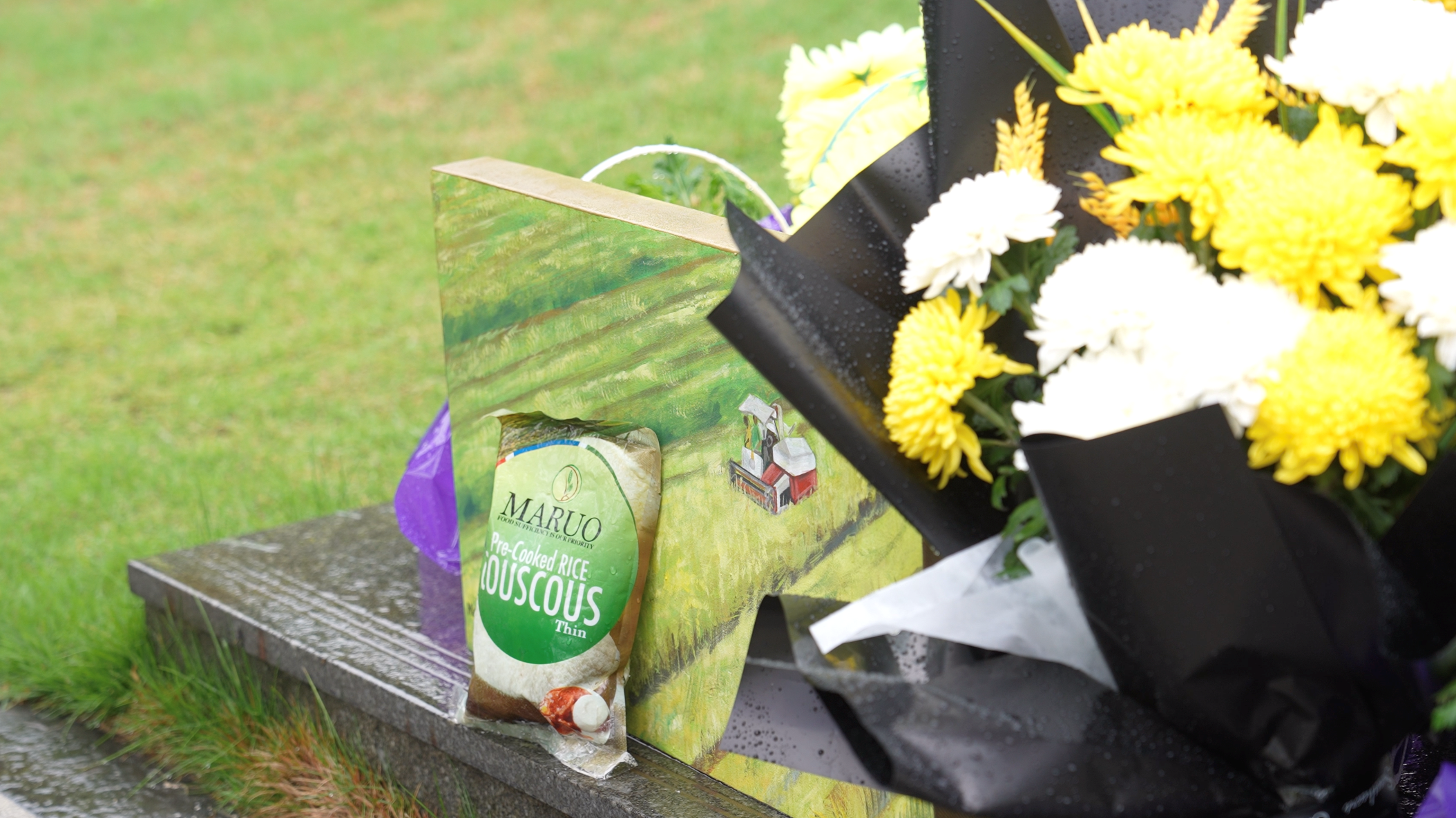 袁隆平墓前，多了一袋特殊的稻米……