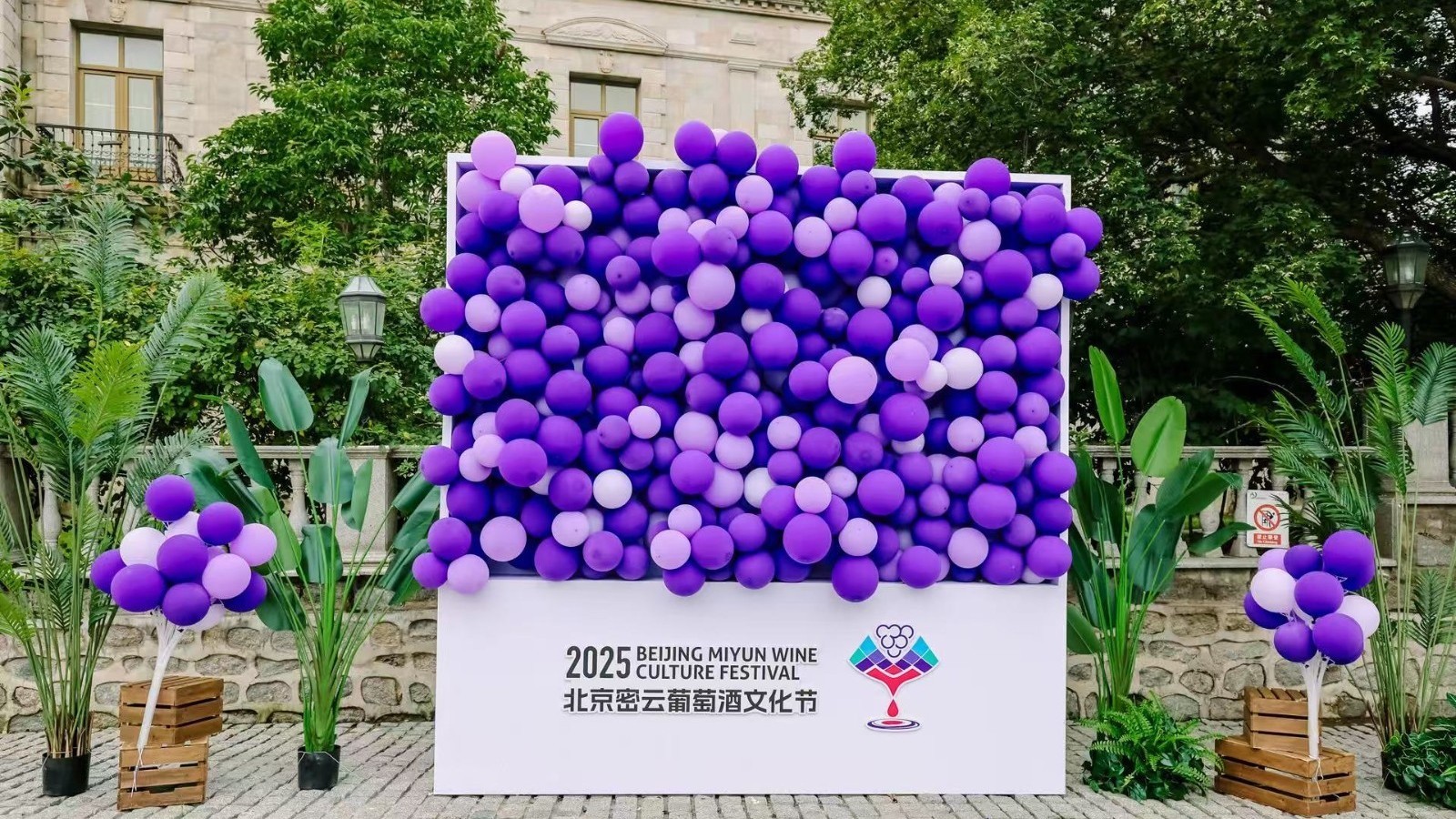 擦亮“紫色名片”,2025北京密云葡萄酒文化节盛大启幕 擦亮“紫色名片”,2025北京密云葡萄酒文化节盛大启幕