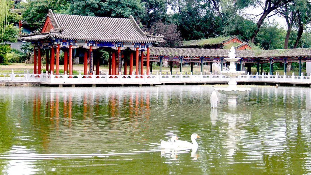 北京市十一学校顺义学校徐明杰:创造适合每一位学生发展的教育 北京市十一学校顺义学校徐明杰:创造适合每一位学生发展的教育