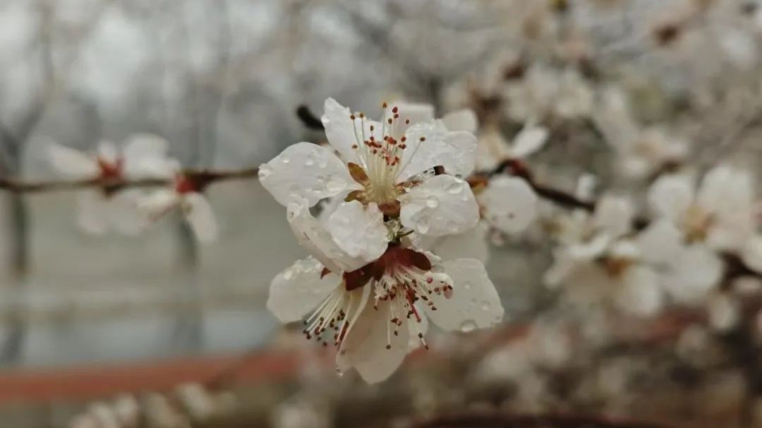 北京供暖延长两天!遇到“倒春寒”,穿衣保暖有讲究~ 北京供暖延长两天!遇到“倒春寒”,穿衣保暖有讲究~