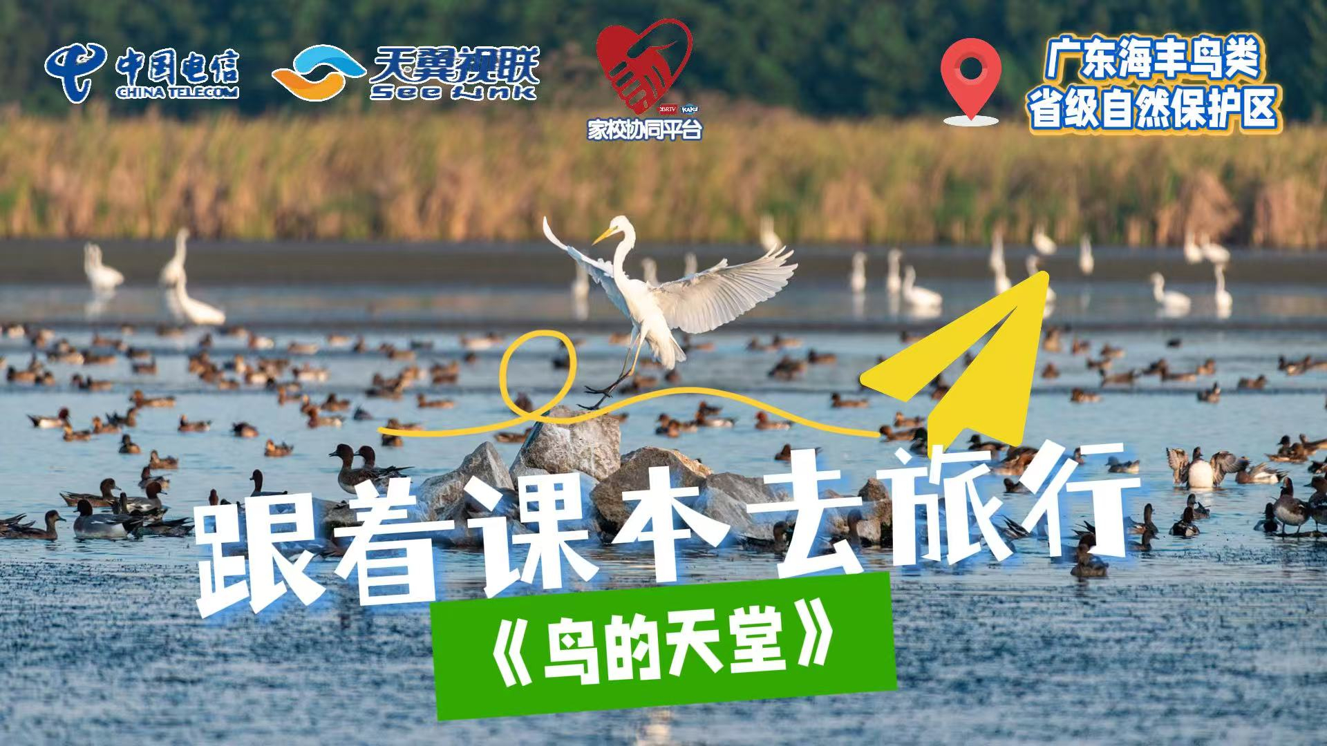 慢直播｜跟着课本去旅行《鸟的天堂》