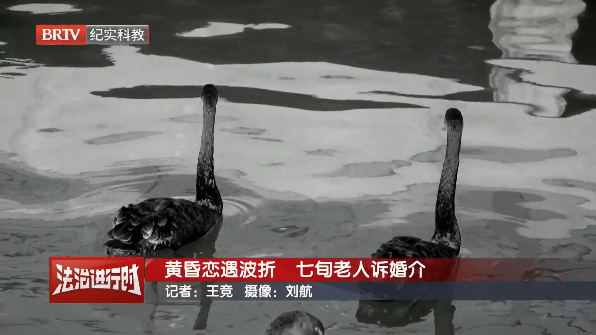 《法治进行时》20261029