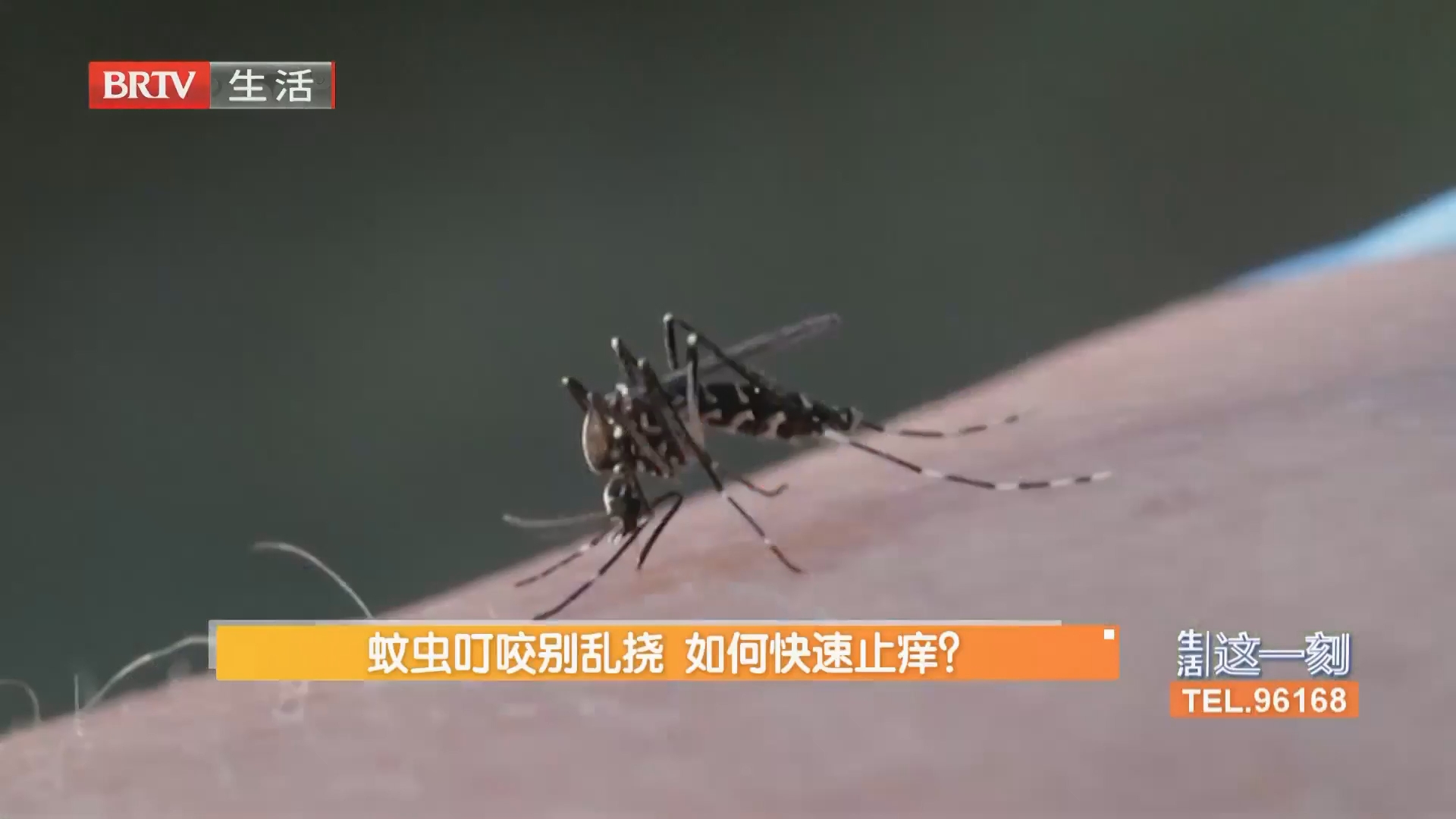 蚊虫叮咬别乱挠 如何快速止痒？