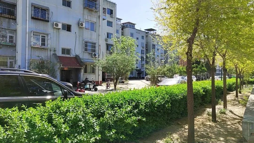 把实事办到心坎上！窦店镇破解老旧社区治理难题