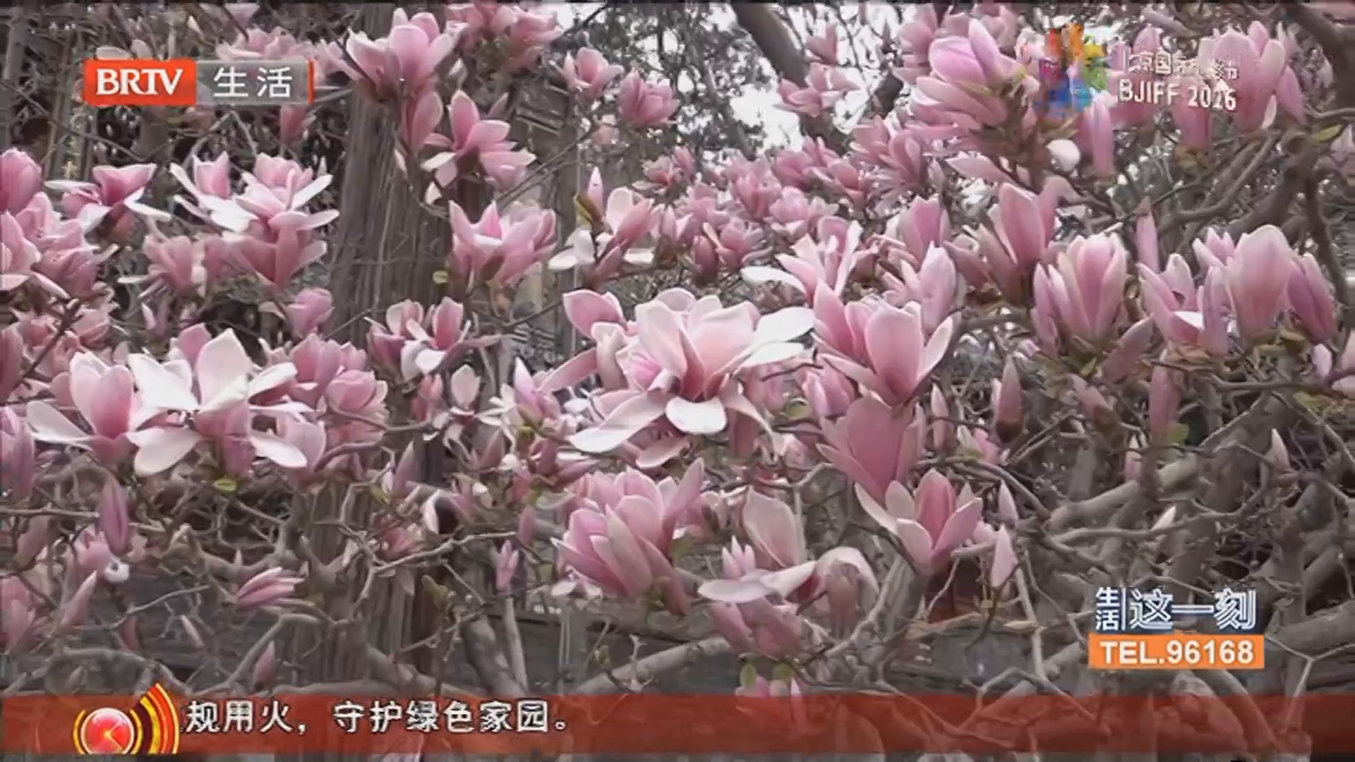 《生活这一刻》20260405 《生活这一刻》20260405