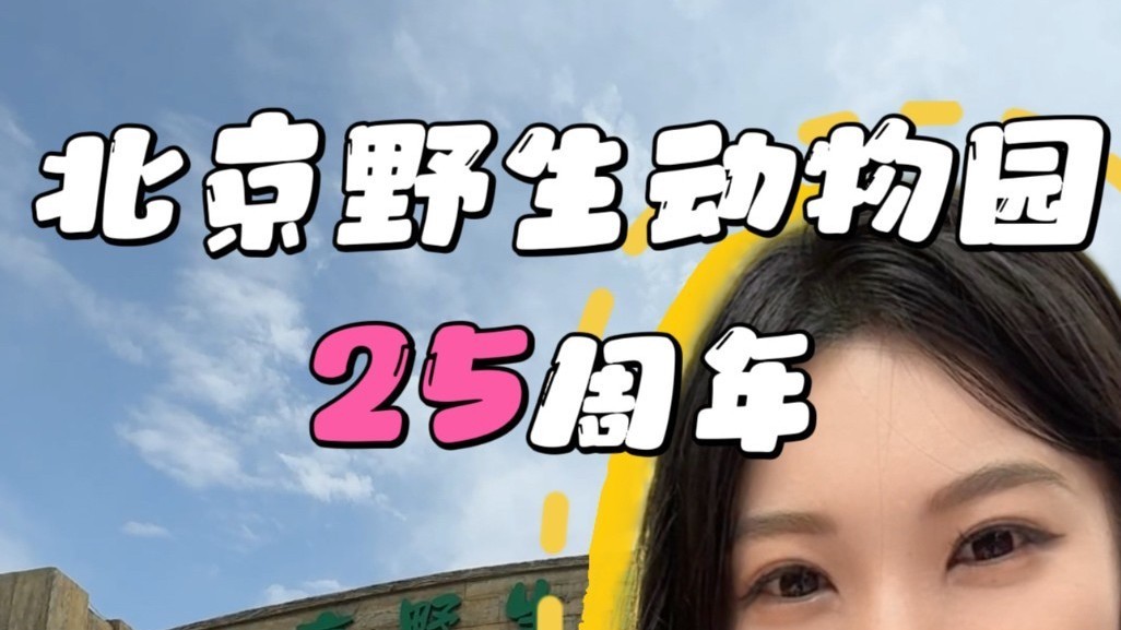 北京野生动物园 25 周年,小熊猫生日 & 森林音乐节双重狂欢 北京野生动物园 25 周年,小熊猫生日 & 森林音乐节双重狂欢