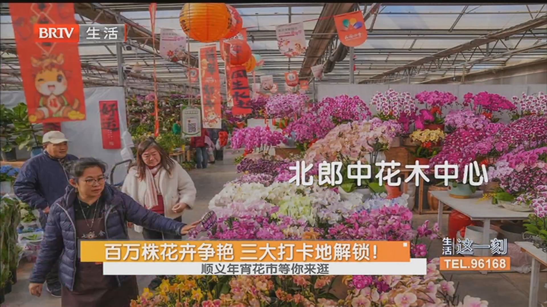 百万株花卉争艳 三大打卡地解锁！顺义年宵花市等你来逛