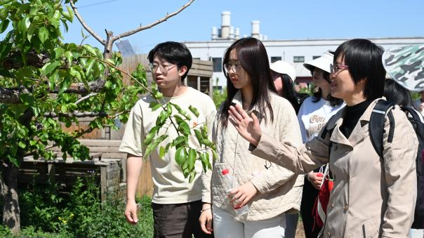 北京房山:校地共建,感受科技赋能农业发展 北京房山:校地共建,感受科技赋能农业发展