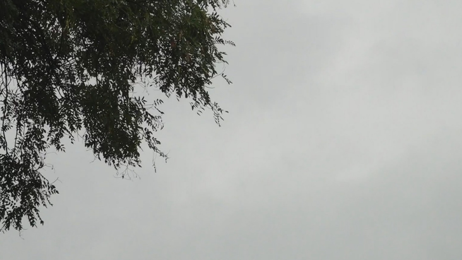 10月9日10日两天降雨持续 9日最高气温创74年来同期最低 10月9日10日两天降雨持续 9日最高气温创74年来同期最低