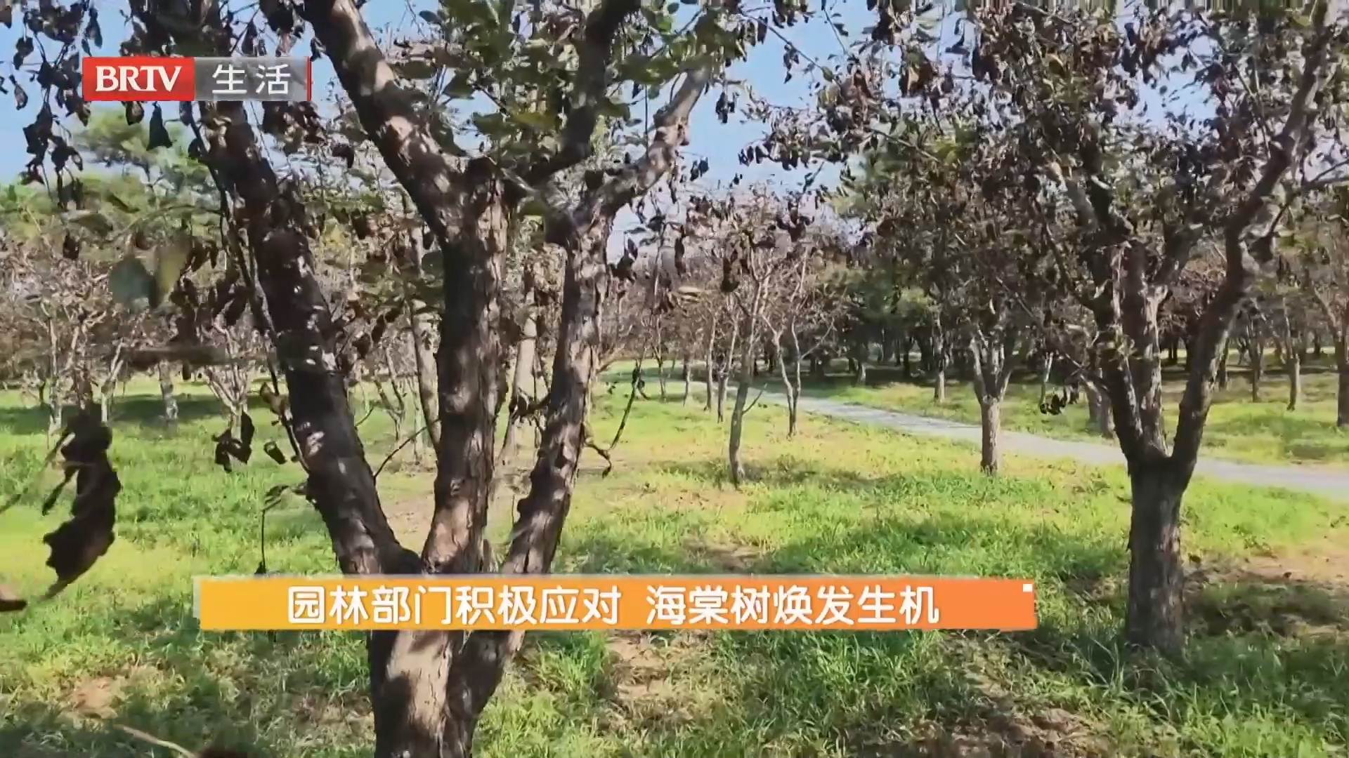 《生活帮帮忙》20260919