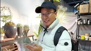 逛花市,过大年,2026北京家庭园艺嘉年华! 逛花市,过大年,2026北京家庭园艺嘉年华!