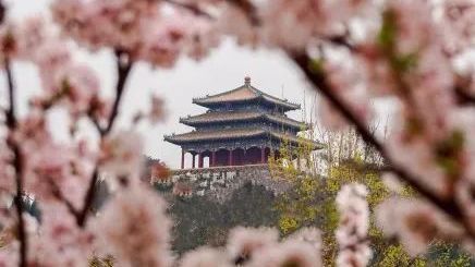 文旅局发布“北京春日十大赏花胜景地”，附贴心摄影小窍门值得收藏~