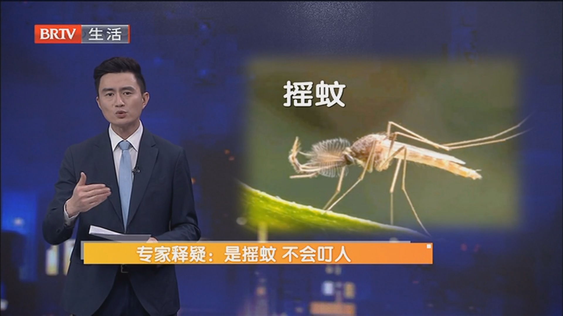 还没入夏河边有大团蚊子扎堆扑脸 专家释疑：是摇蚊 不会叮人