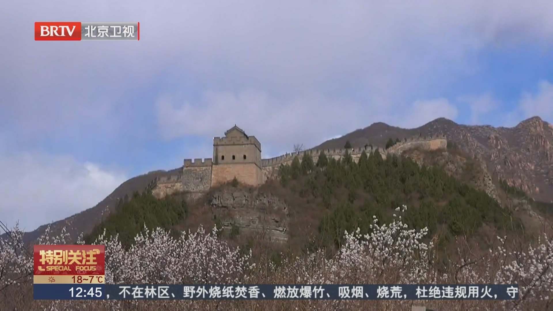 开往春天的列车 记者打卡居庸关花海栈道