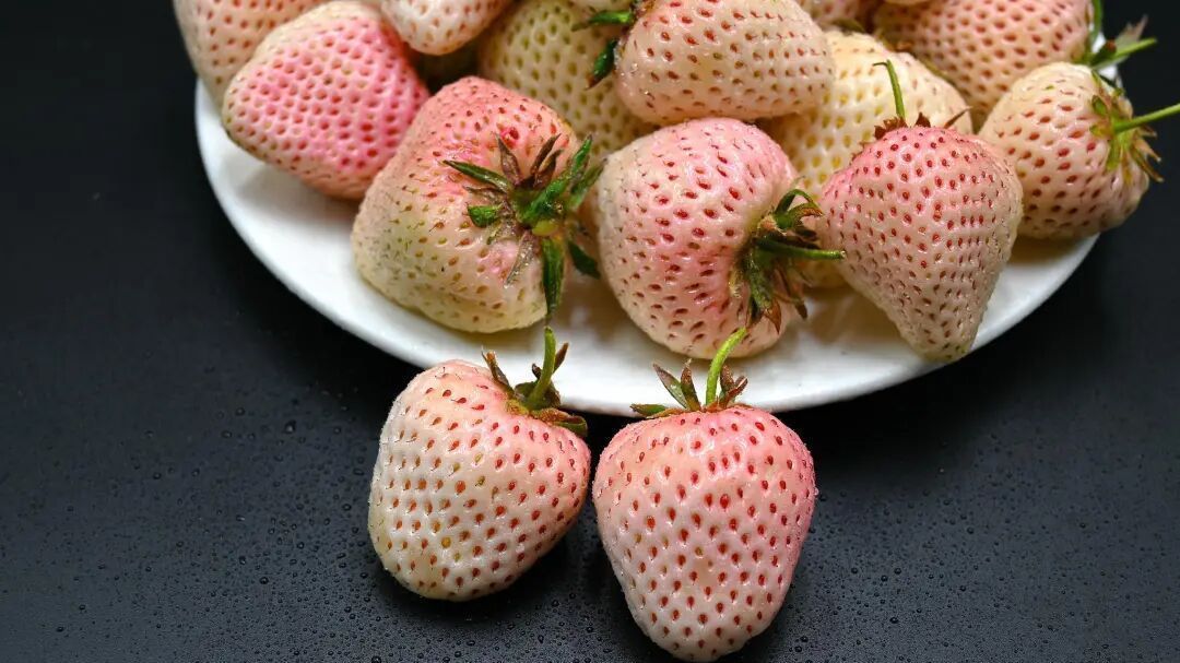 黑草莓火了，到底有什么不一样？