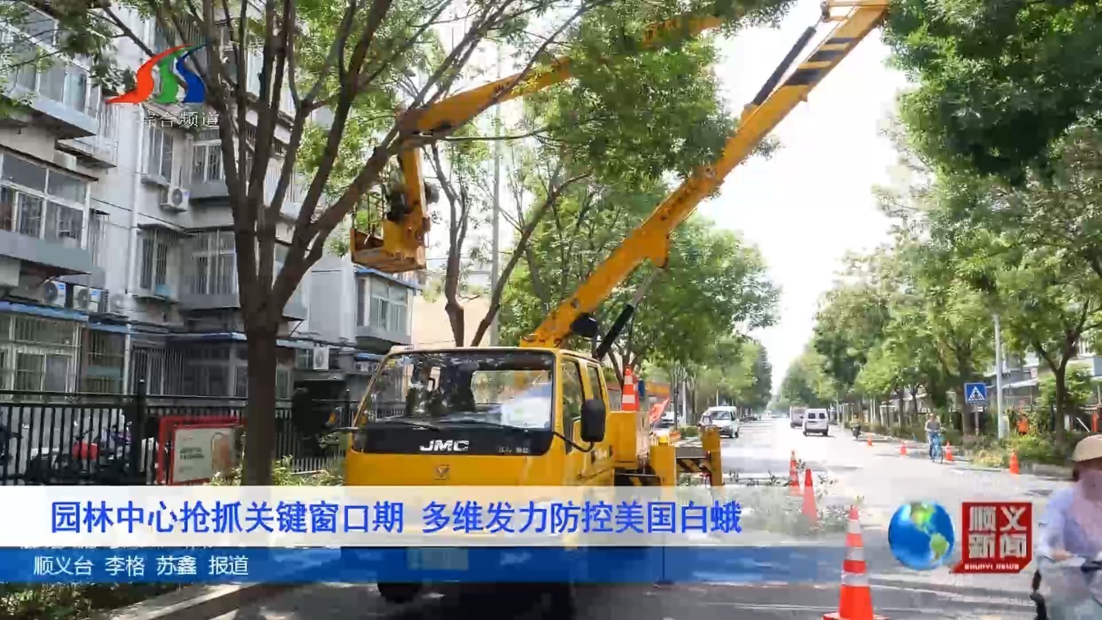 园林中心抢抓关键窗口期 多维发力防控美国白蛾