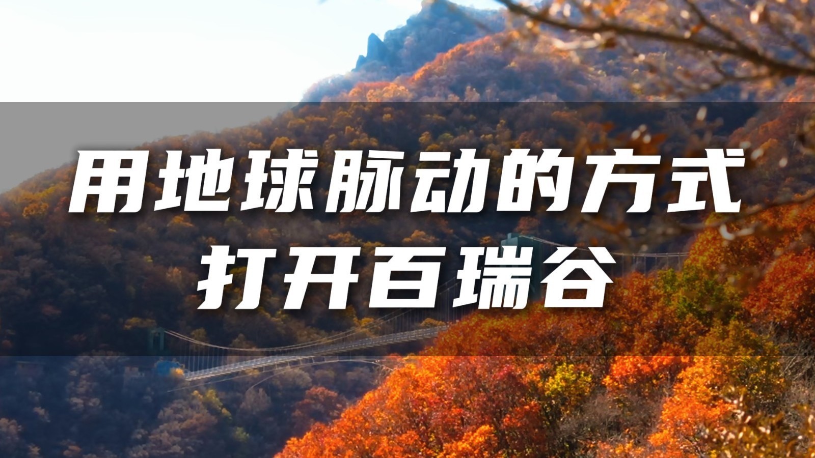 当我用《地球脉动》的视角打开房山百瑞谷,闯入色彩斑斓的秋 当我用《地球脉动》的视角打开房山百瑞谷,闯入色彩斑斓的秋