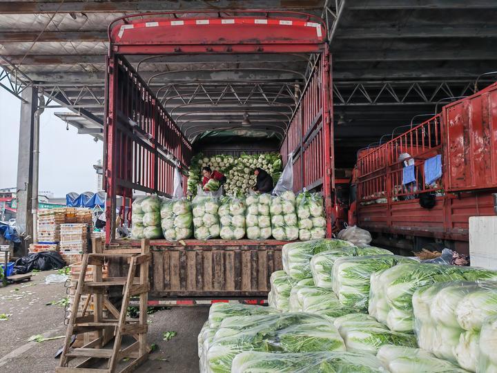 升级防寒保障！多地筑牢民生“保温墙”