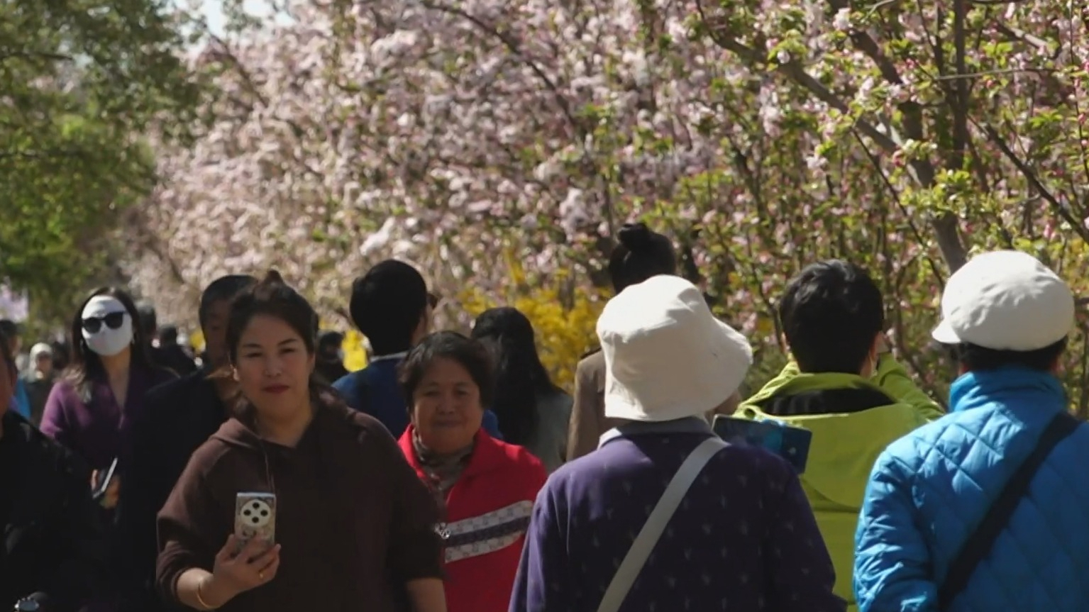 抚今追昔 踏青赏花 清明假期前两天首都公园迎客382万人次