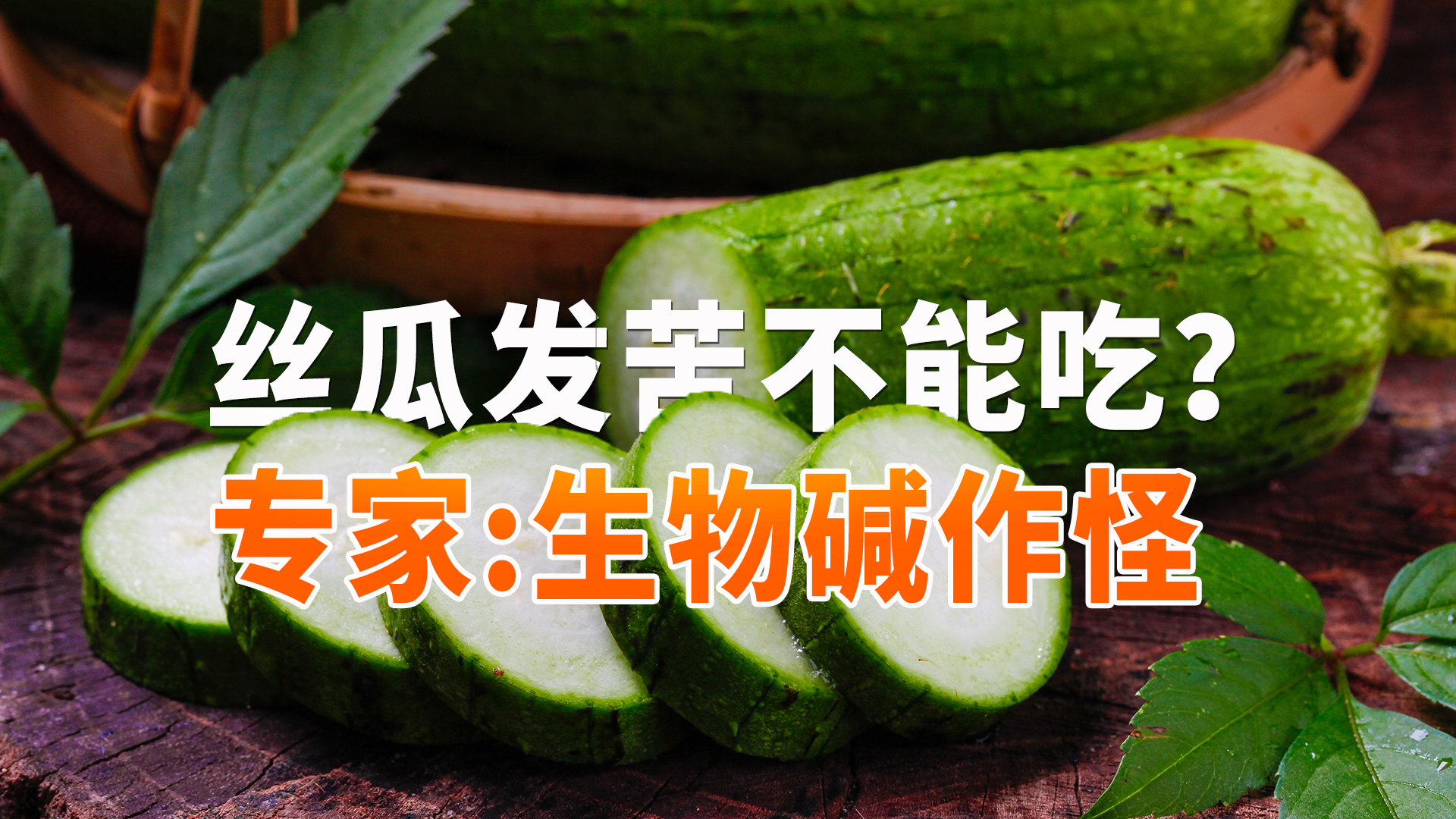 丝瓜发苦不能吃?专家:是生物碱作怪!吃之前焯水就能解决! 丝瓜发苦不能吃?专家:是生物碱作怪!吃之前焯水就能解决!