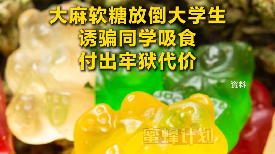 大麻软糖放倒大学生 诱骗同学吸食付出牢狱代价 大麻软糖放倒大学生 诱骗同学吸食付出牢狱代价